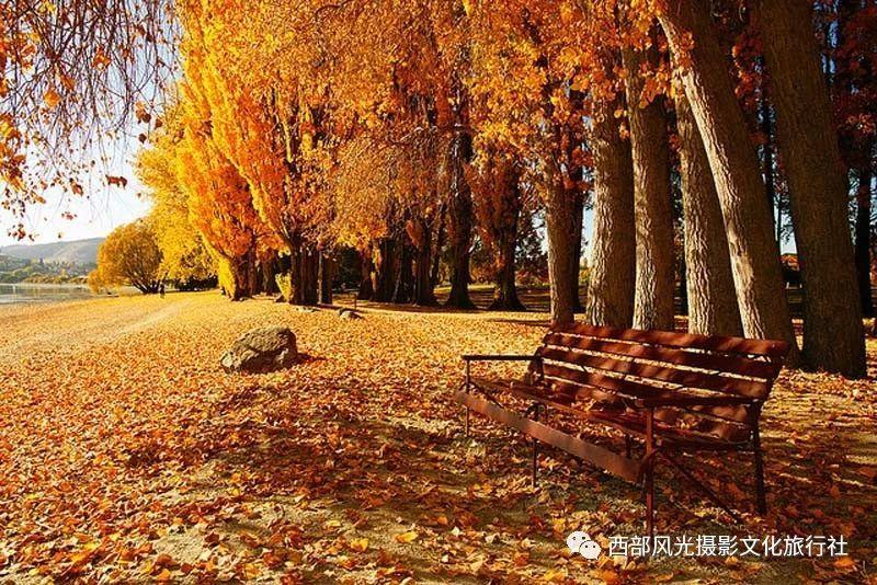 小猫钓鱼游戏龙王版有船