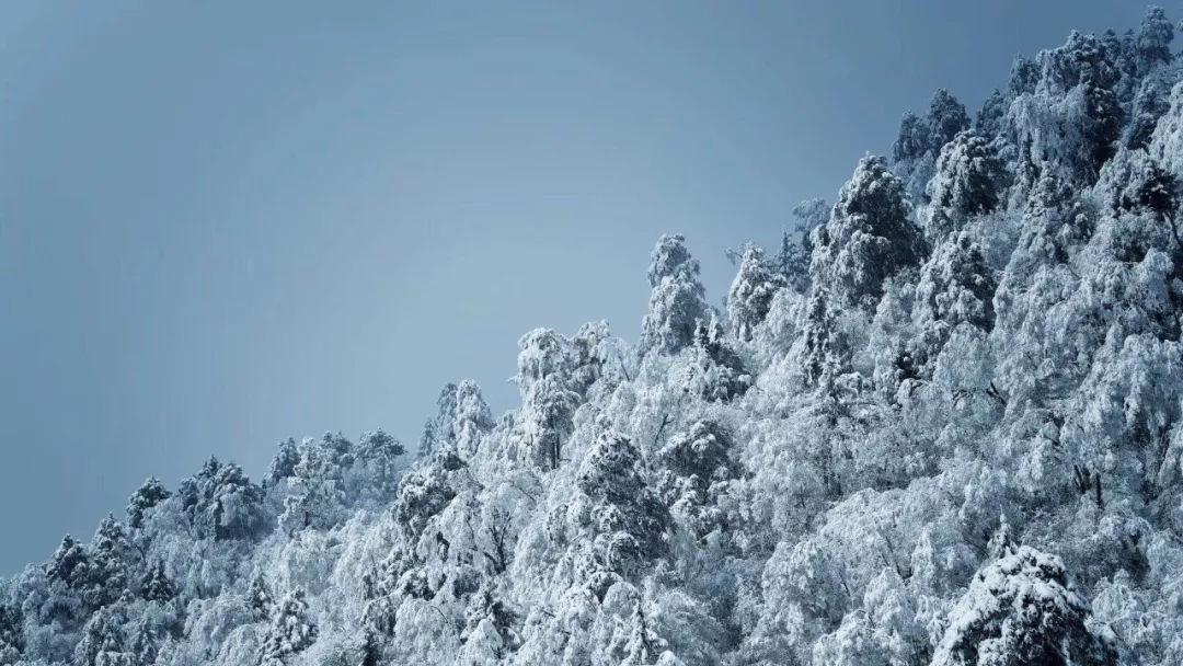 阿提拉：全面战争